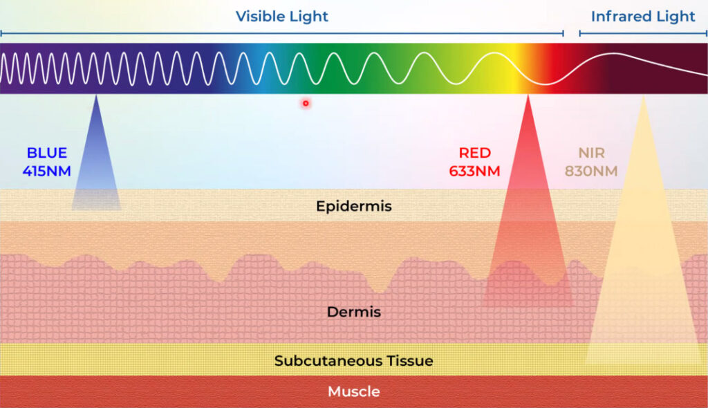 Dermalux LED Phototherapy